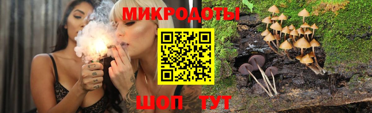 Галлюциногенные грибы мицелий Белогорск